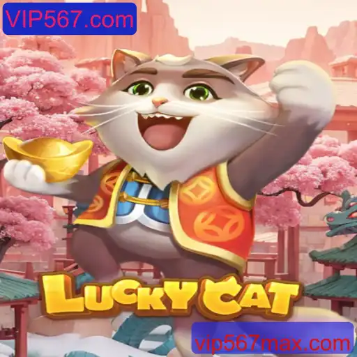 Explorando o Universo de LuckyCat e VIP567.com