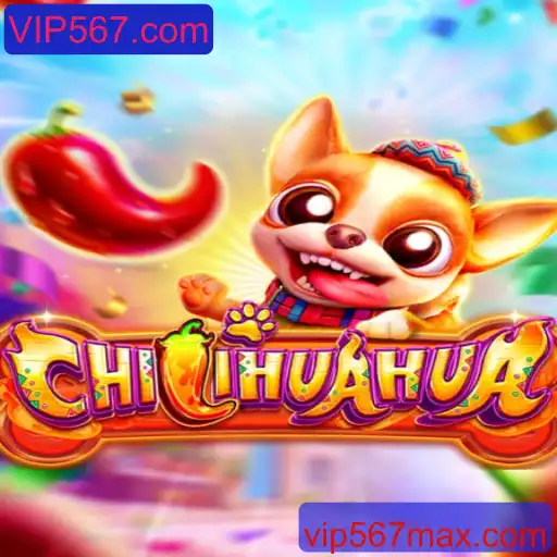 CHILIHUAHUA: Uma Imersão no Novo Mundo dos Jogos Online